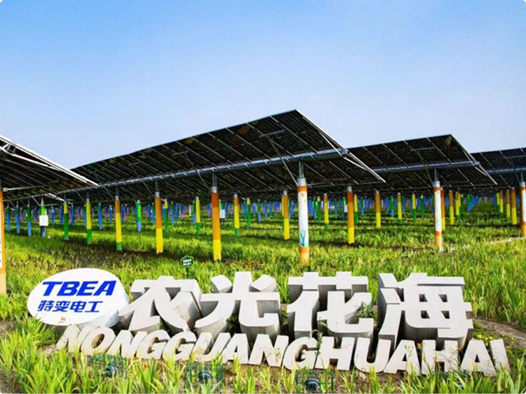 科技创新赋能星空平台app新手怎么玩
