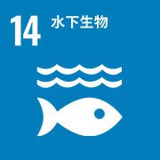 稳步向清洁星空平台app新手怎么玩转