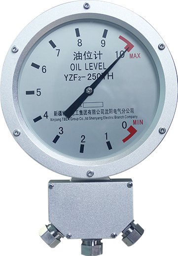 现已成为国内规模最大